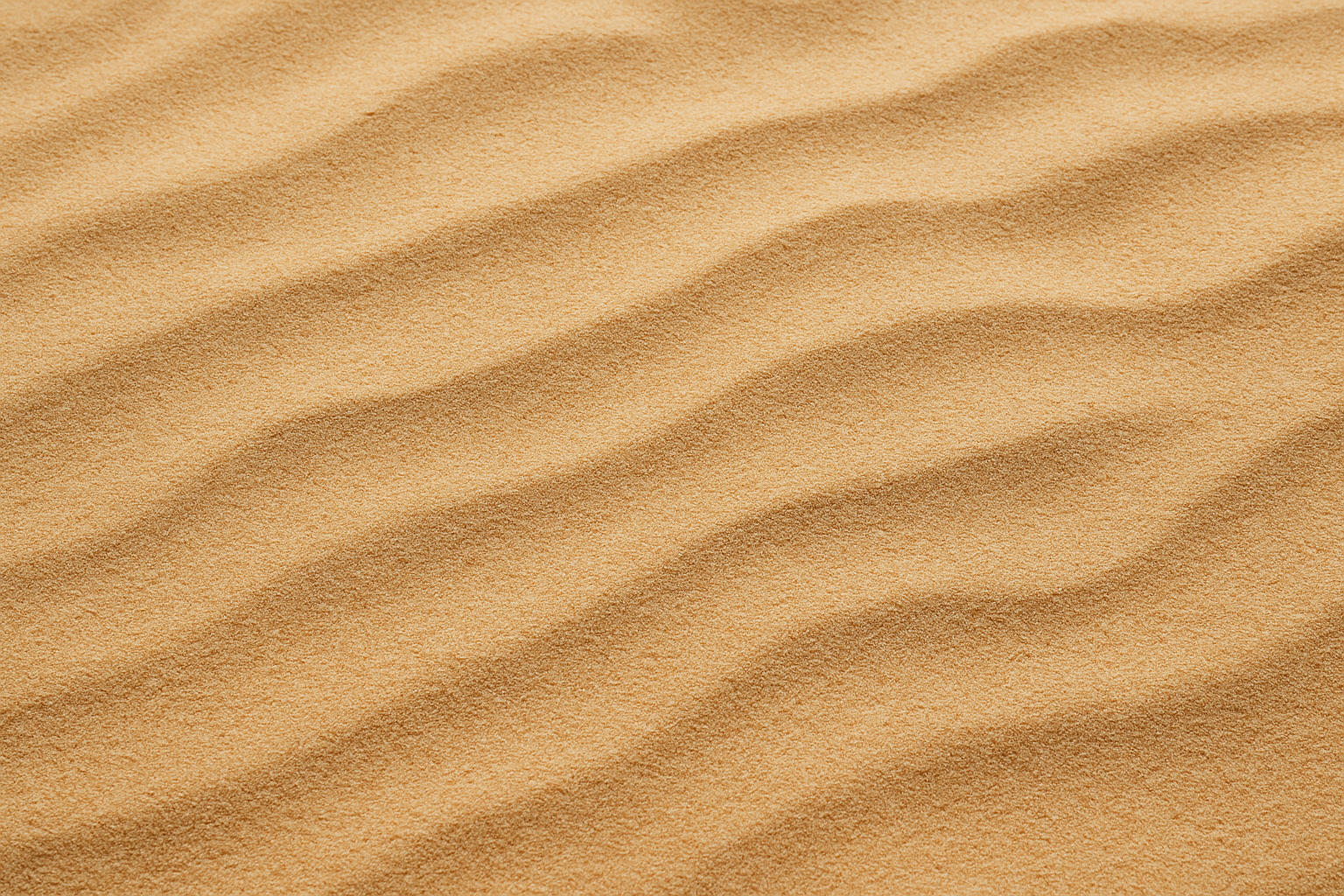 sand, not desert, just sandy background